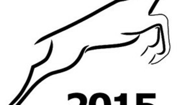 E-Gazele Biznesu 2015